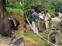 "मध्य प्रदेश के छतरपुर जिले में लवकुशनगर के जंगलों में पेड़ से जंजीरों में बंधी और अधजली लाशें मिलीं, जिनकी पुलिस और एफएसएल द्वारा जांच की जा रही है।"