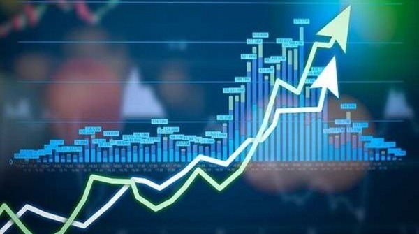 Share Market